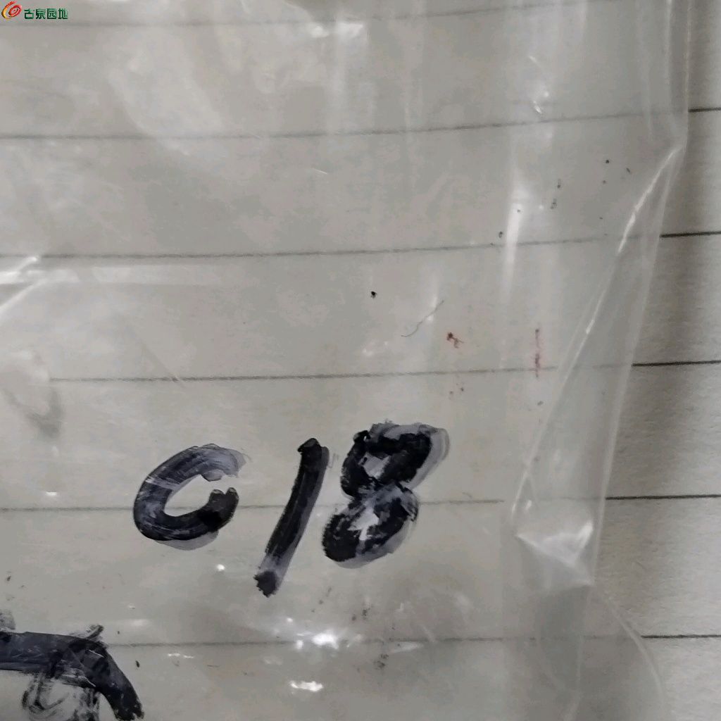 1767750051555.xfile.jpg