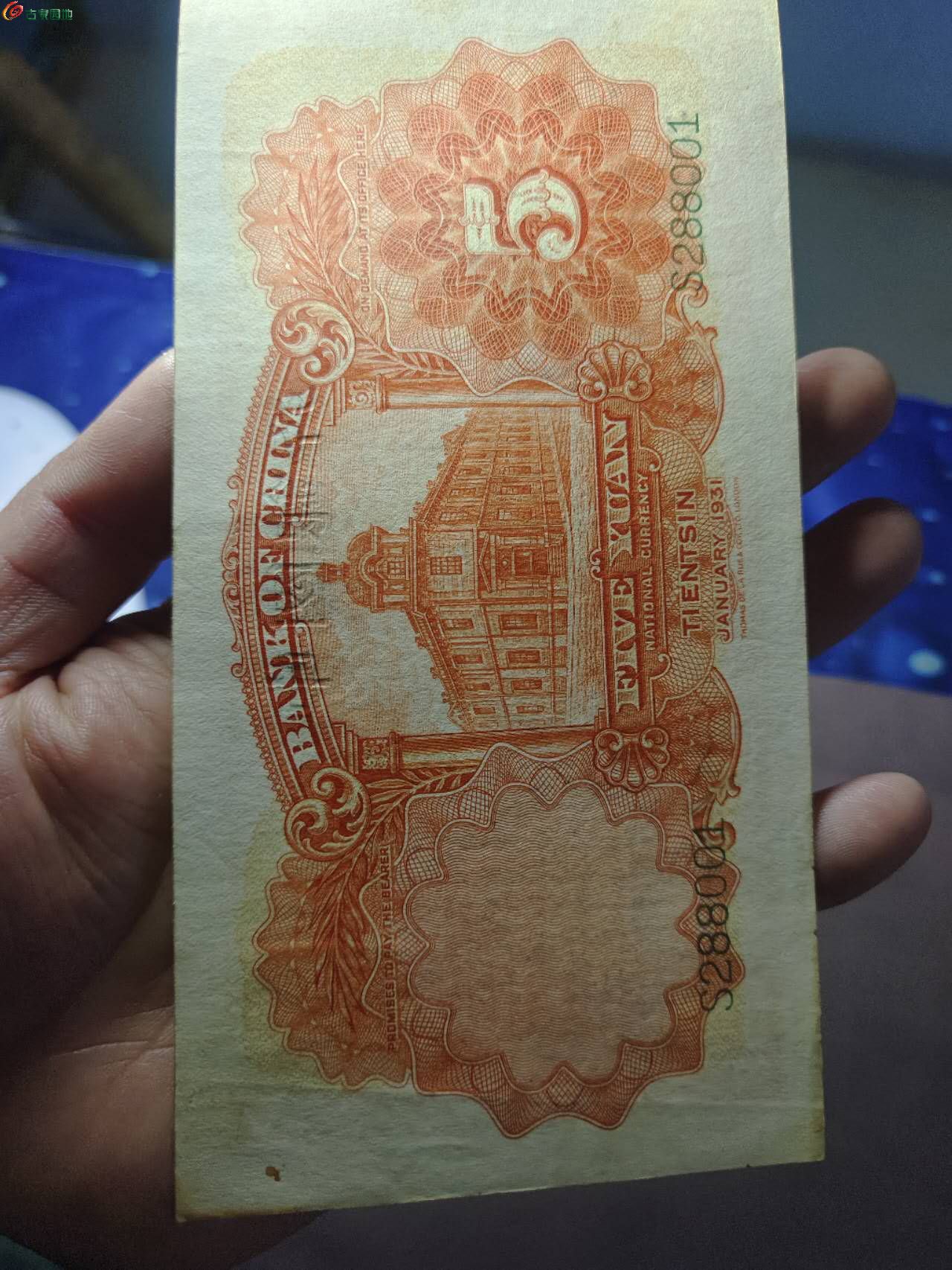 49170.jpg