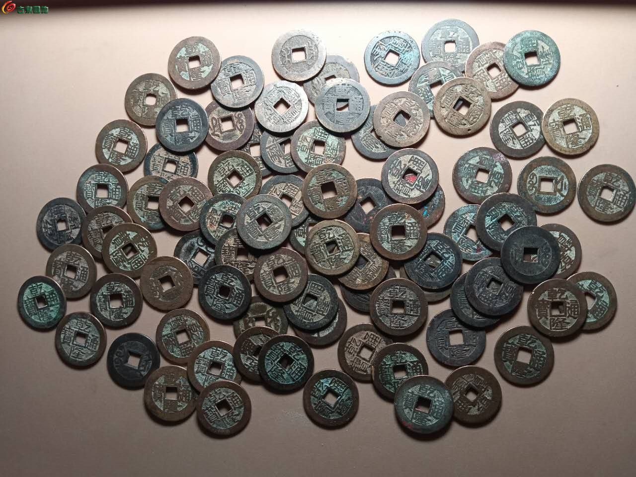 23986.jpg