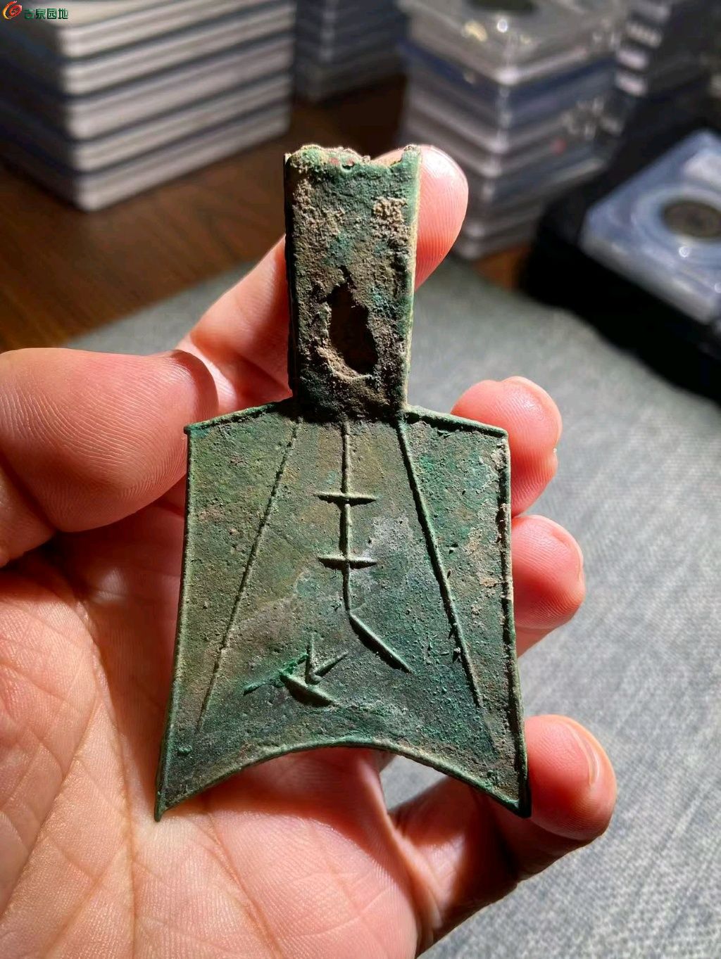 ͼƬ��������´��ڴ򿪲鿴