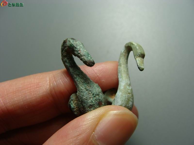 调整大小 DSC08016.JPG