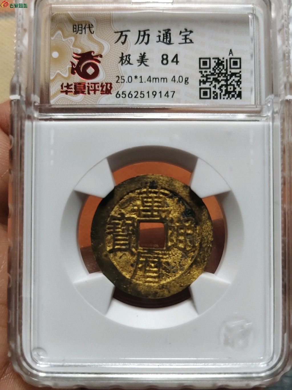 1768357411828.xfile.jpg