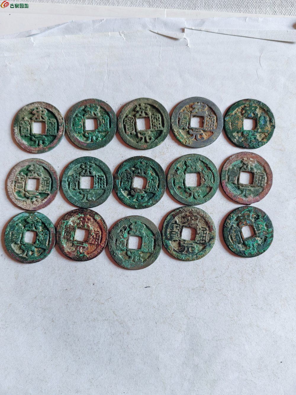 IMG_20260116_092704_edit_163215473183205