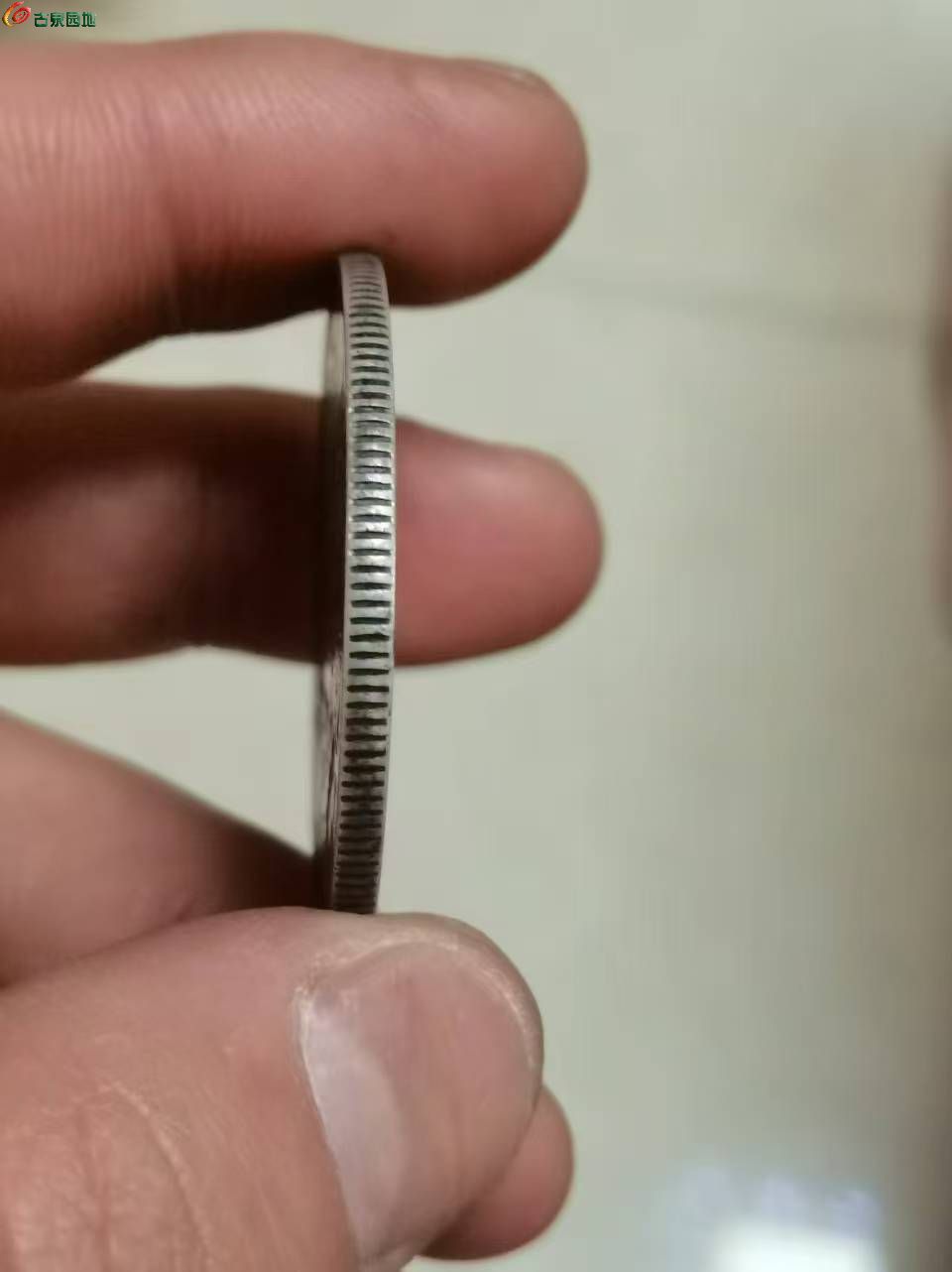 24518.jpg
