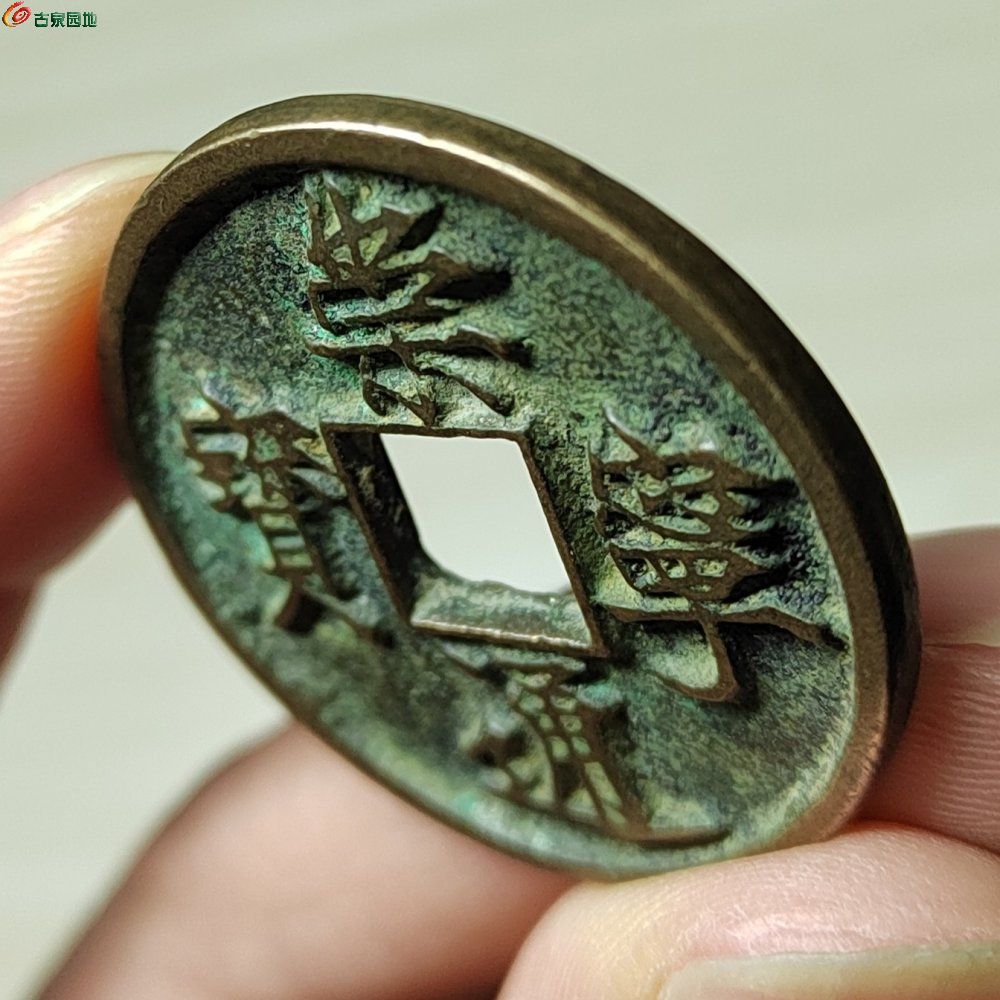 IMG_20260122_163331_edit_113748703277231