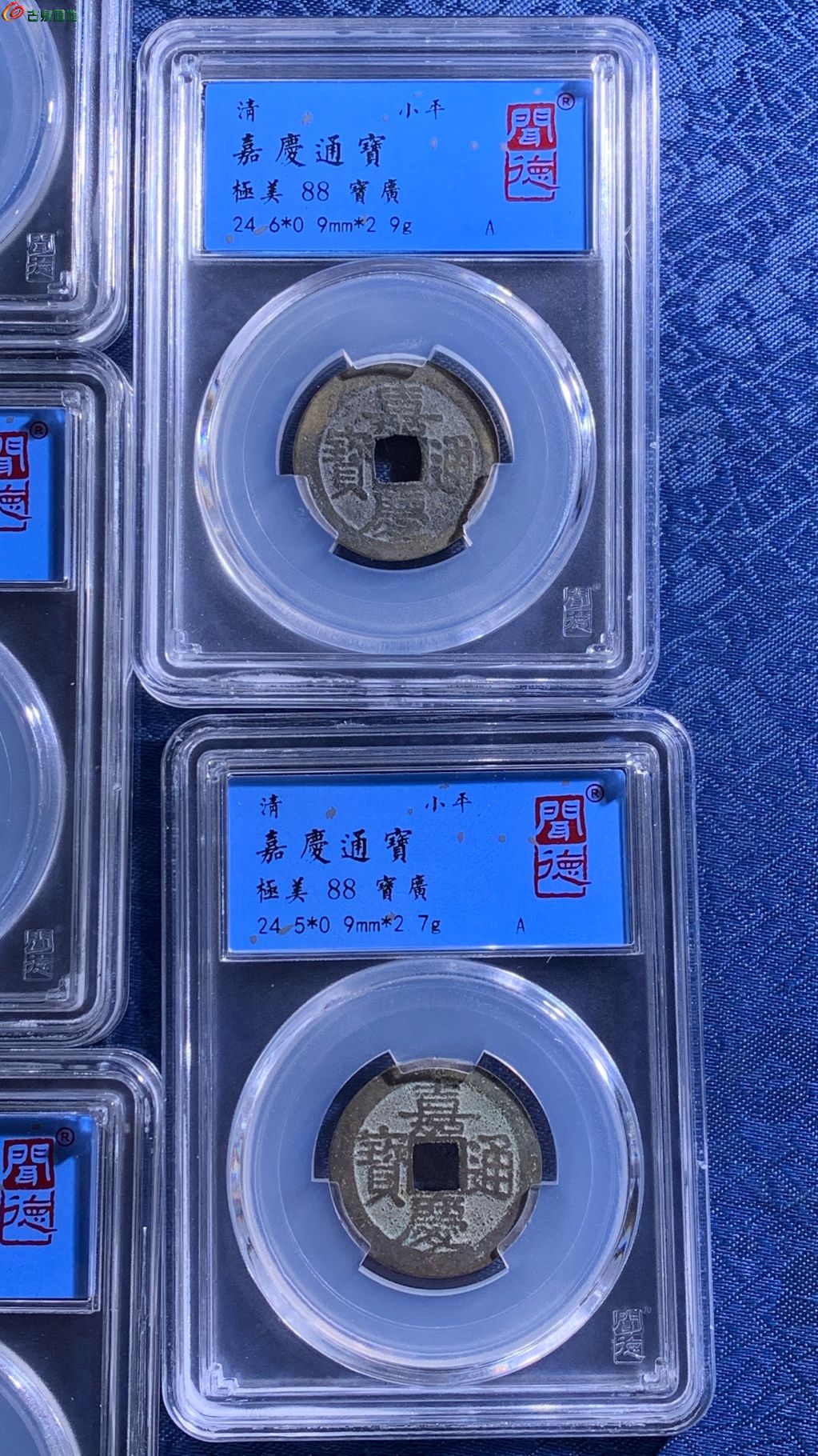 1769147807752.xfile.jpg