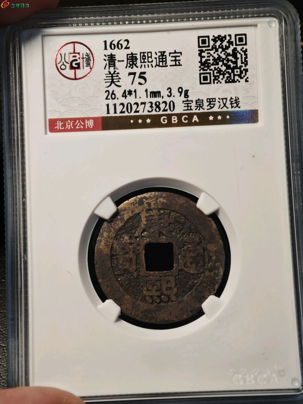 1769334881241.xfile.jpg