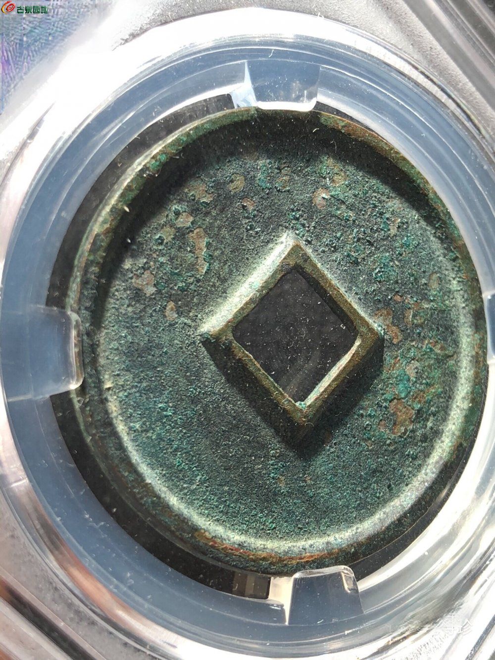 image_editor_1769324686216_edit_35144061