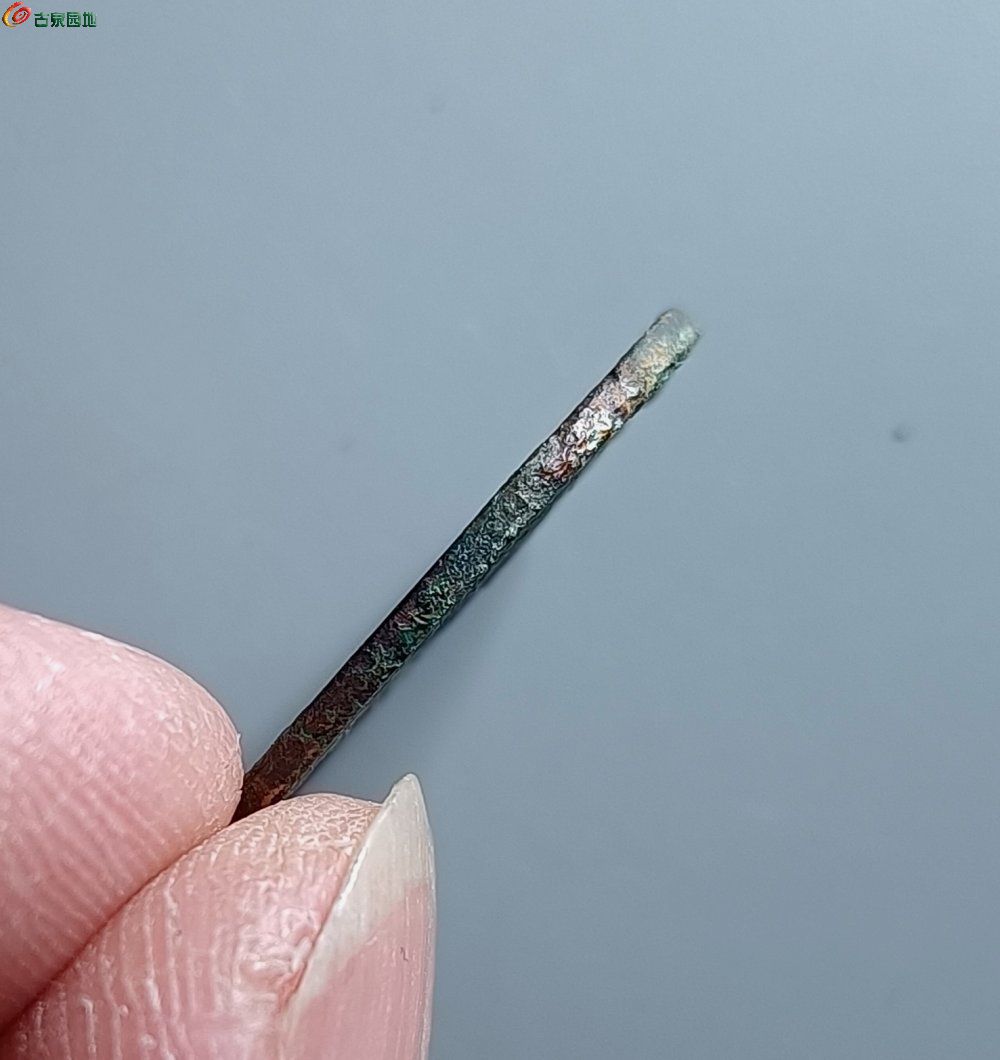 IMG_20260125_141020_edit_157315235756045