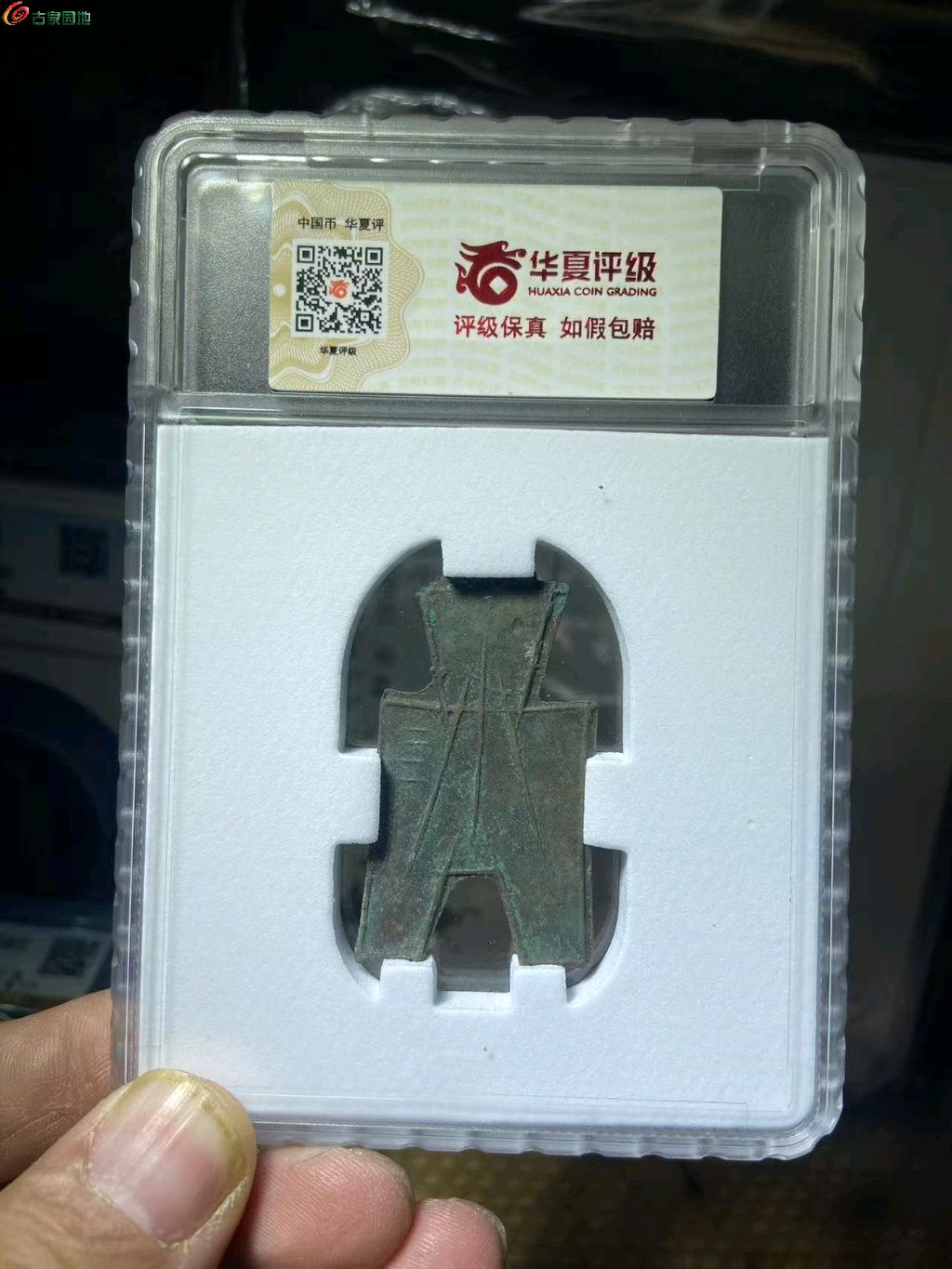 ͼƬ��������´��ڴ򿪲鿴