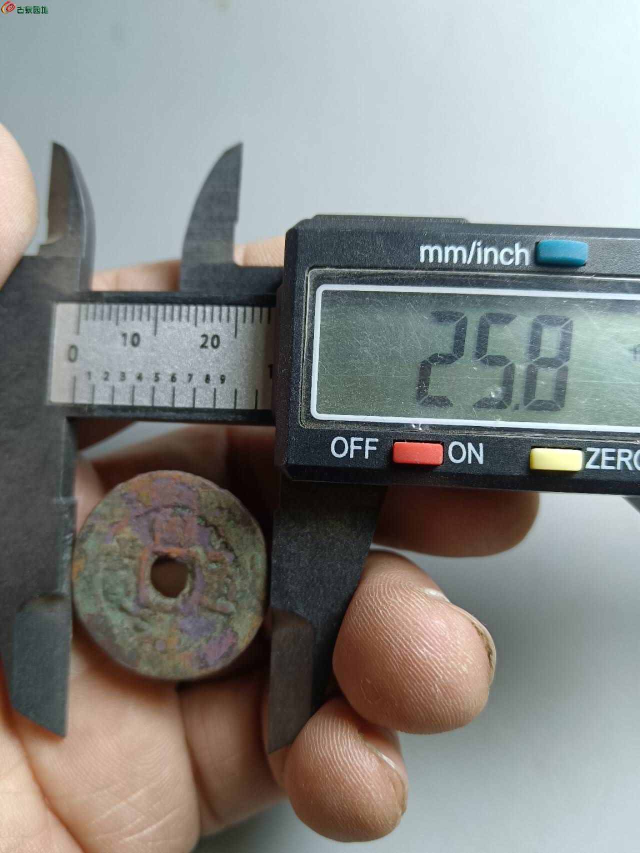49303.jpg
