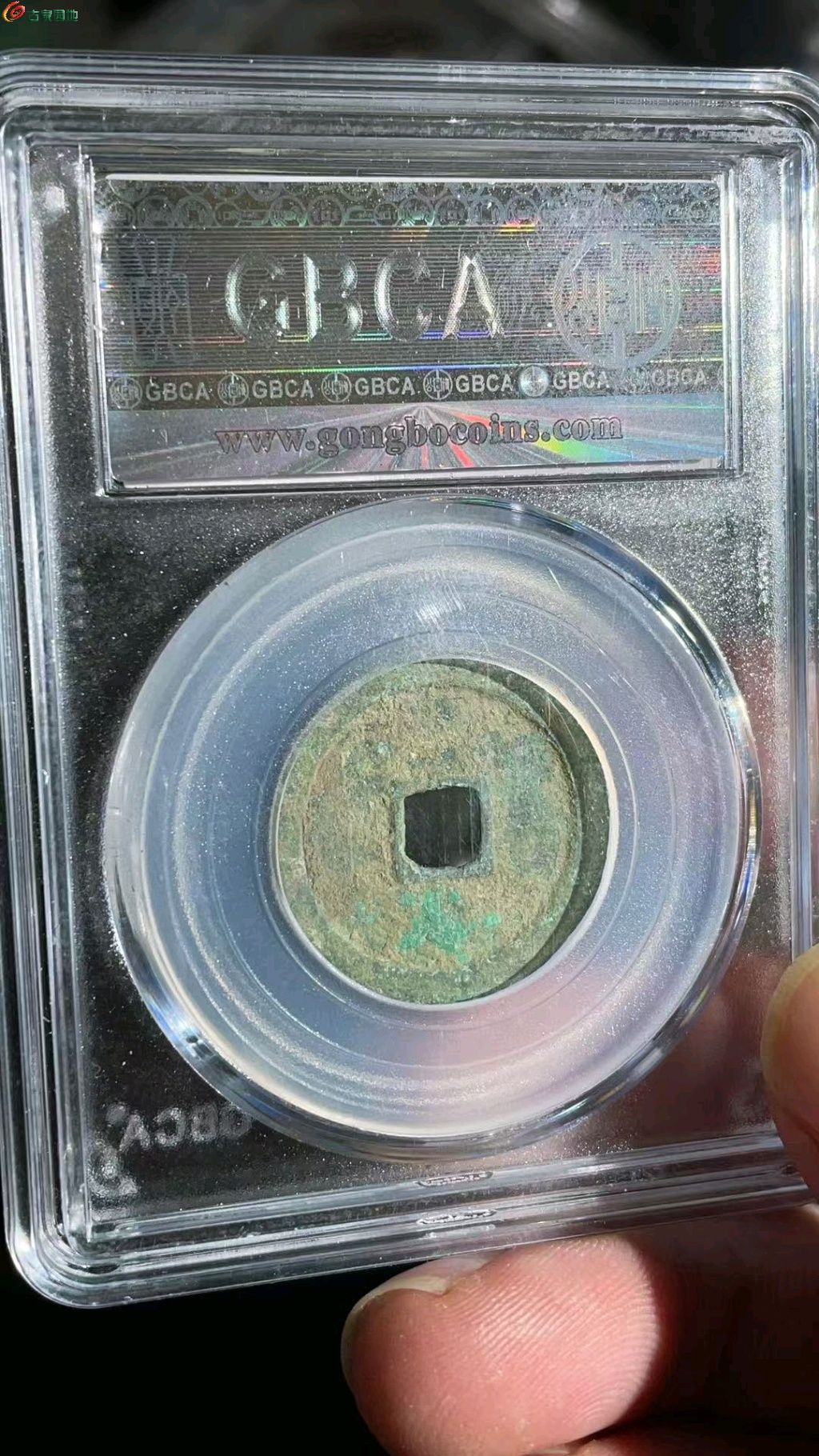 1769758545805.xfile.jpg