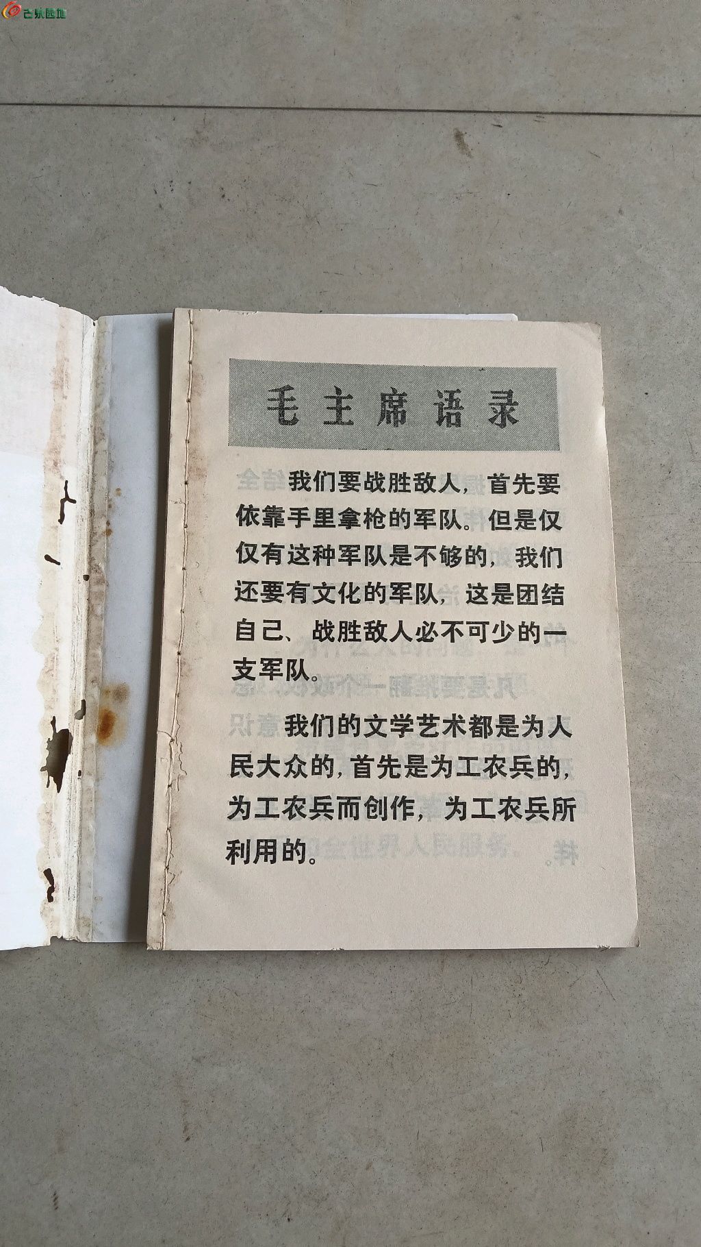 1770037907452.xfile.jpg