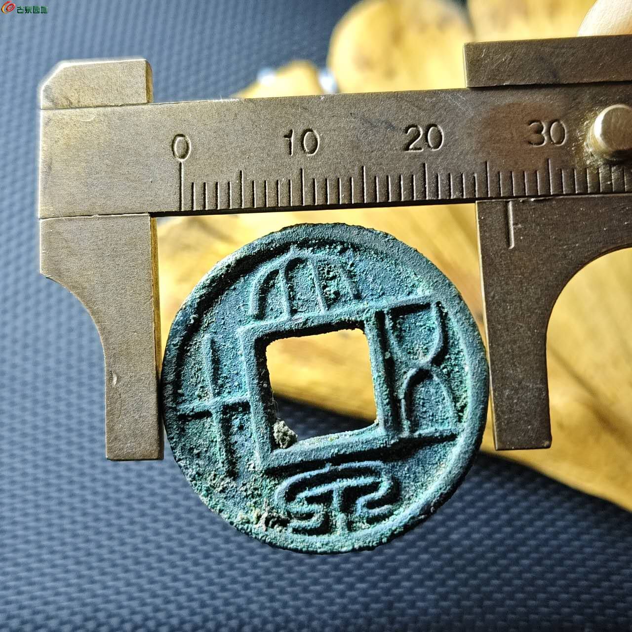 51069.jpg
