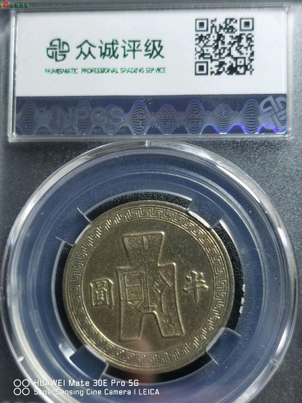 1770112488866.xfile.jpg