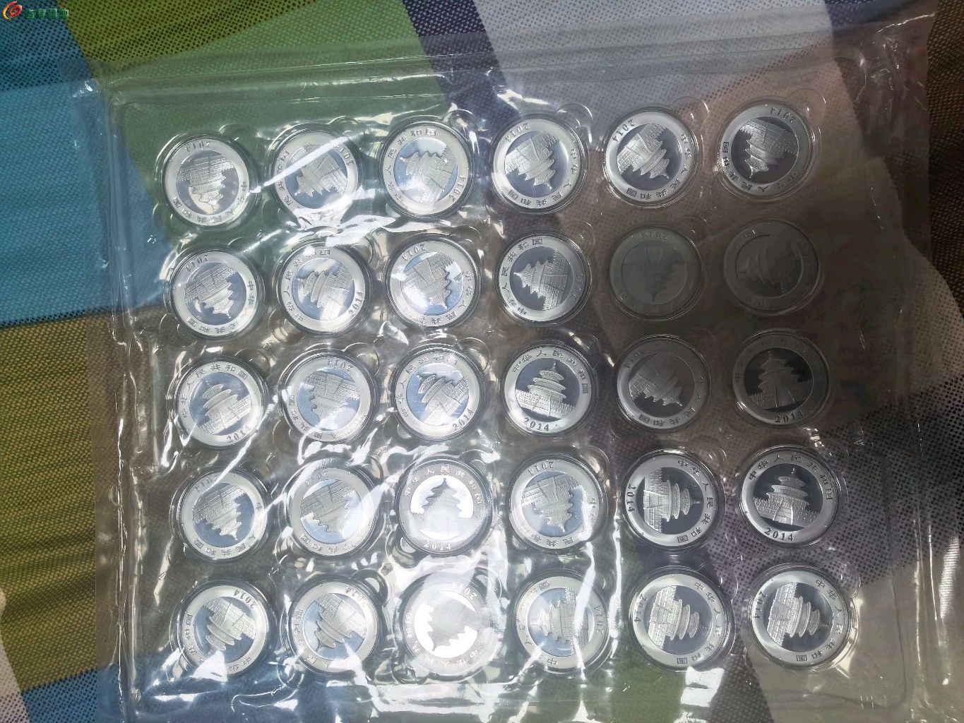 1770131344596.xfile.jpg