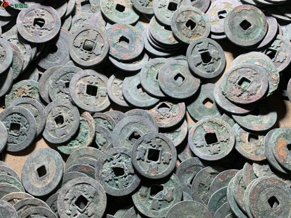 89661.jpg