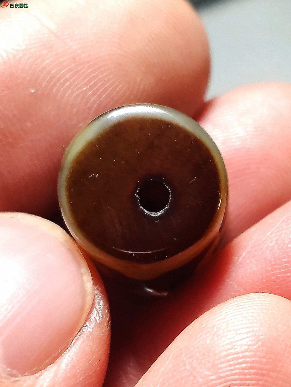 IMG_20260207_202659_edit_262685201633386