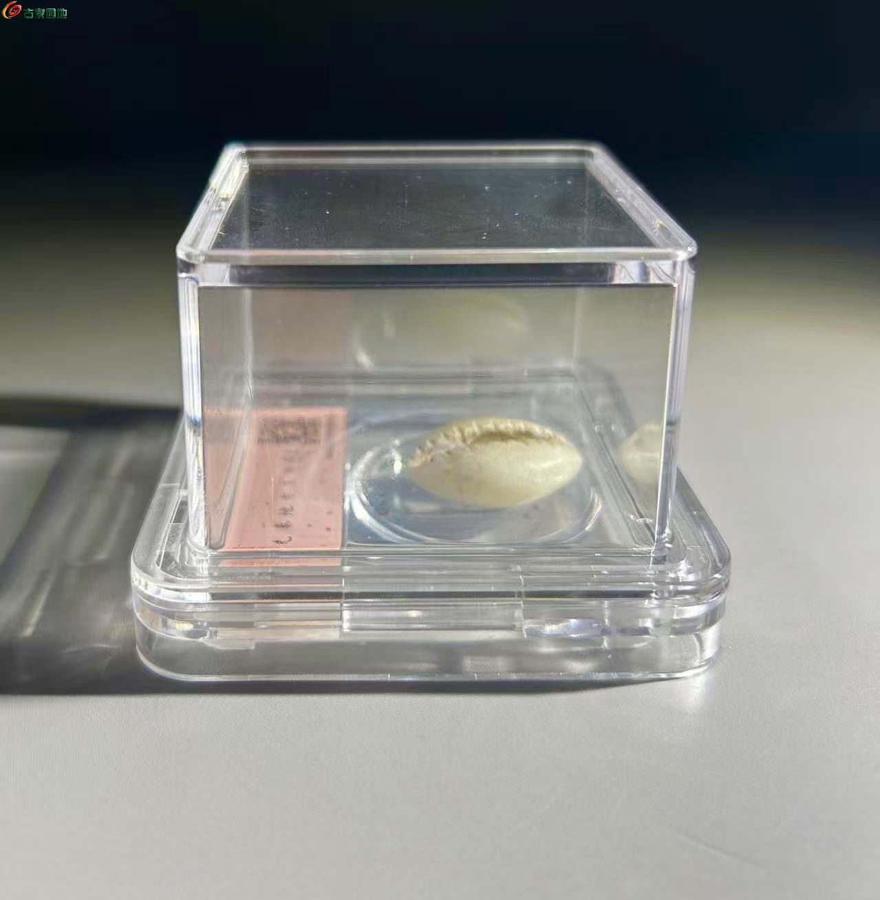 FDFA7441-E1D1-4B69-8718-A795BD491AB4.jpe