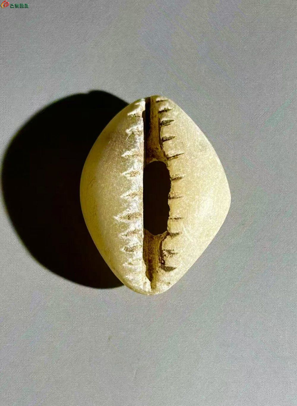 32C47D44-A209-4C7A-9895-5284A8969F33.jpe