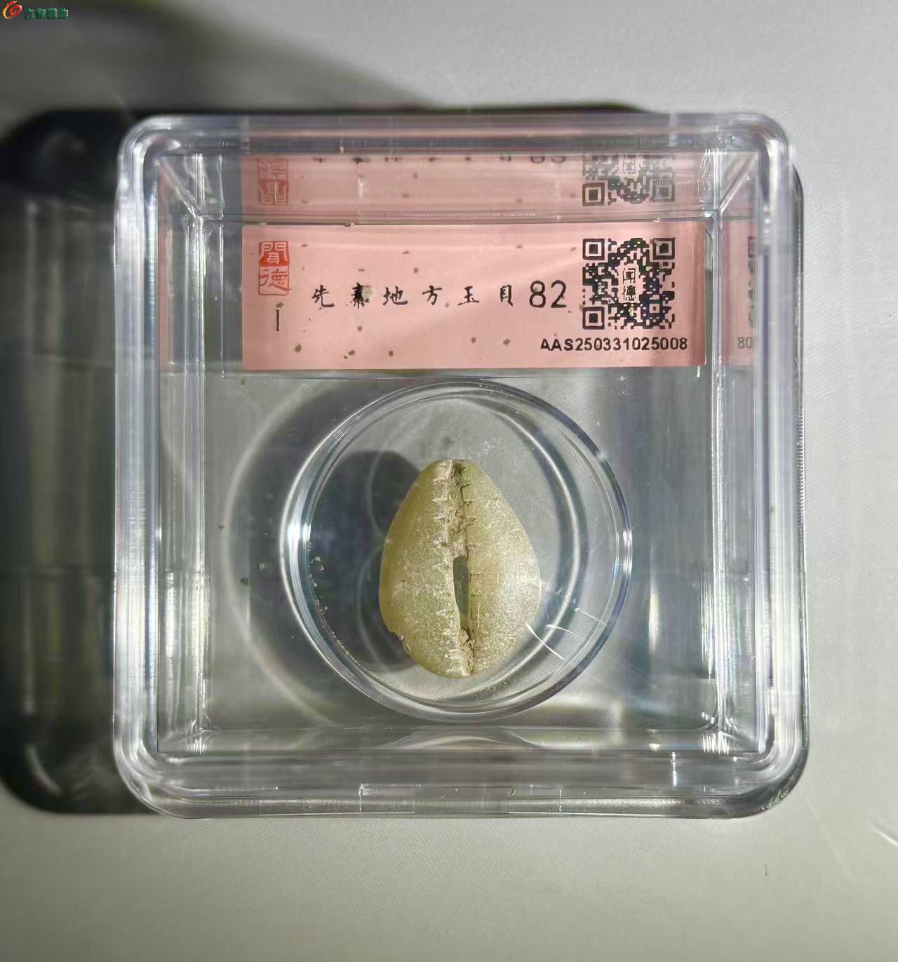 048C8431-3DB7-4558-AF20-5FD552C839C1.jpe