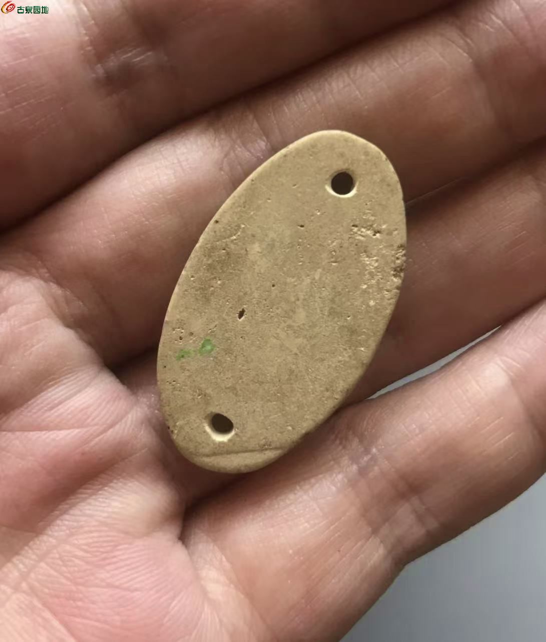 82E314EA-594F-4CBF-B950-21DC43DBFF0A.jpe