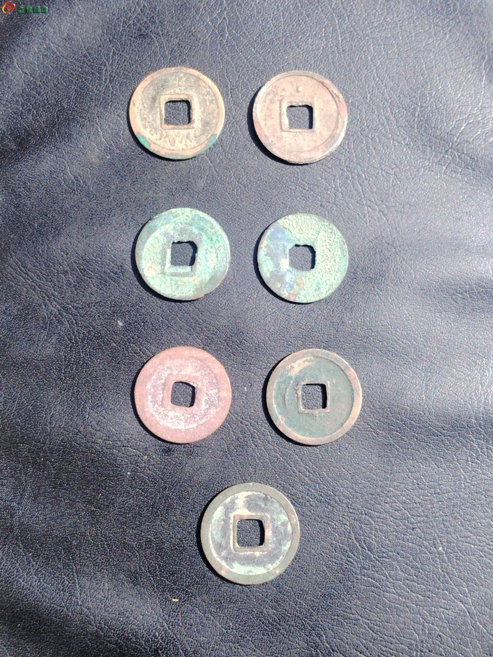 1770957516255.jpg