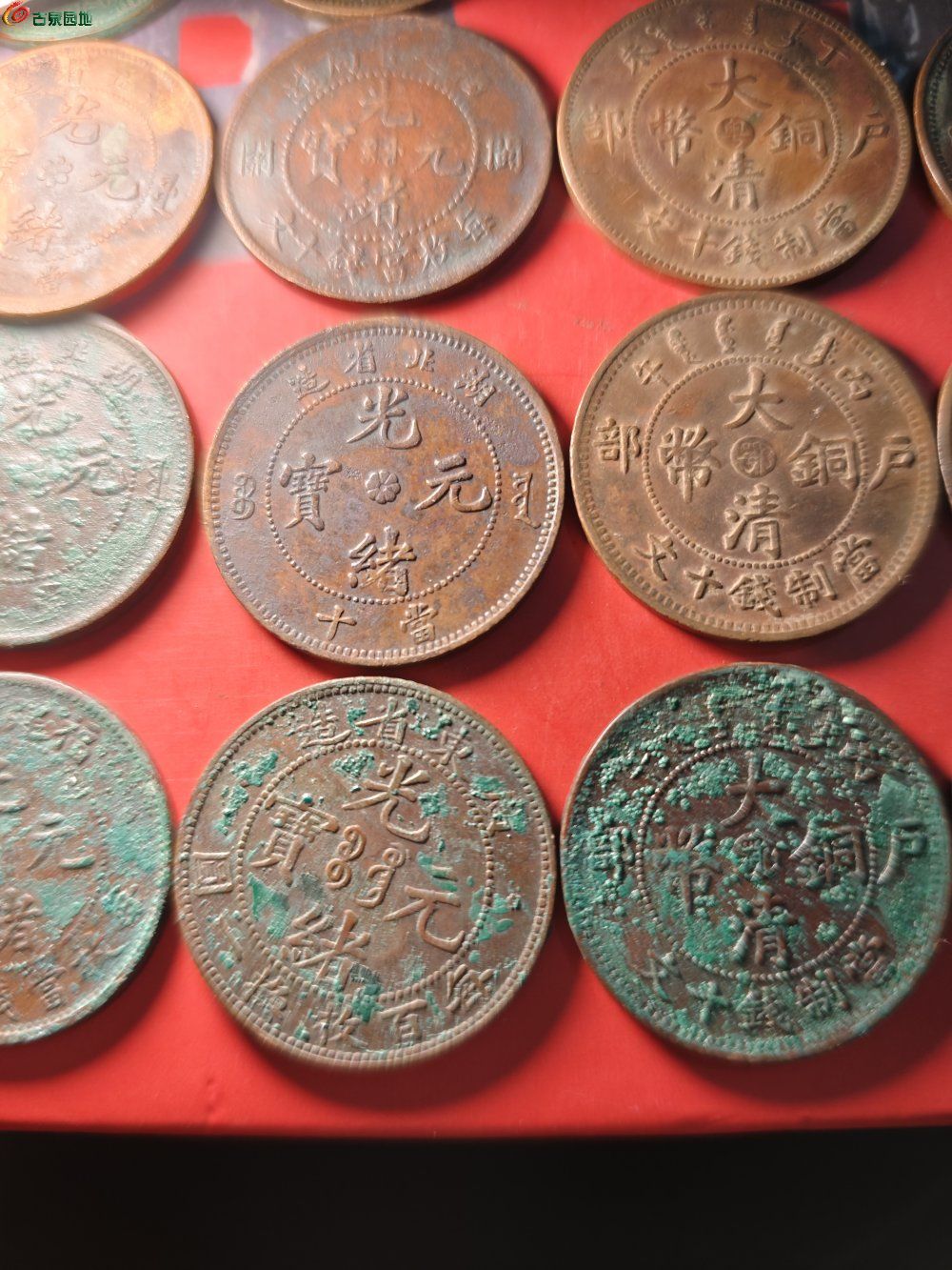 IMG_20260214_211704.jpg