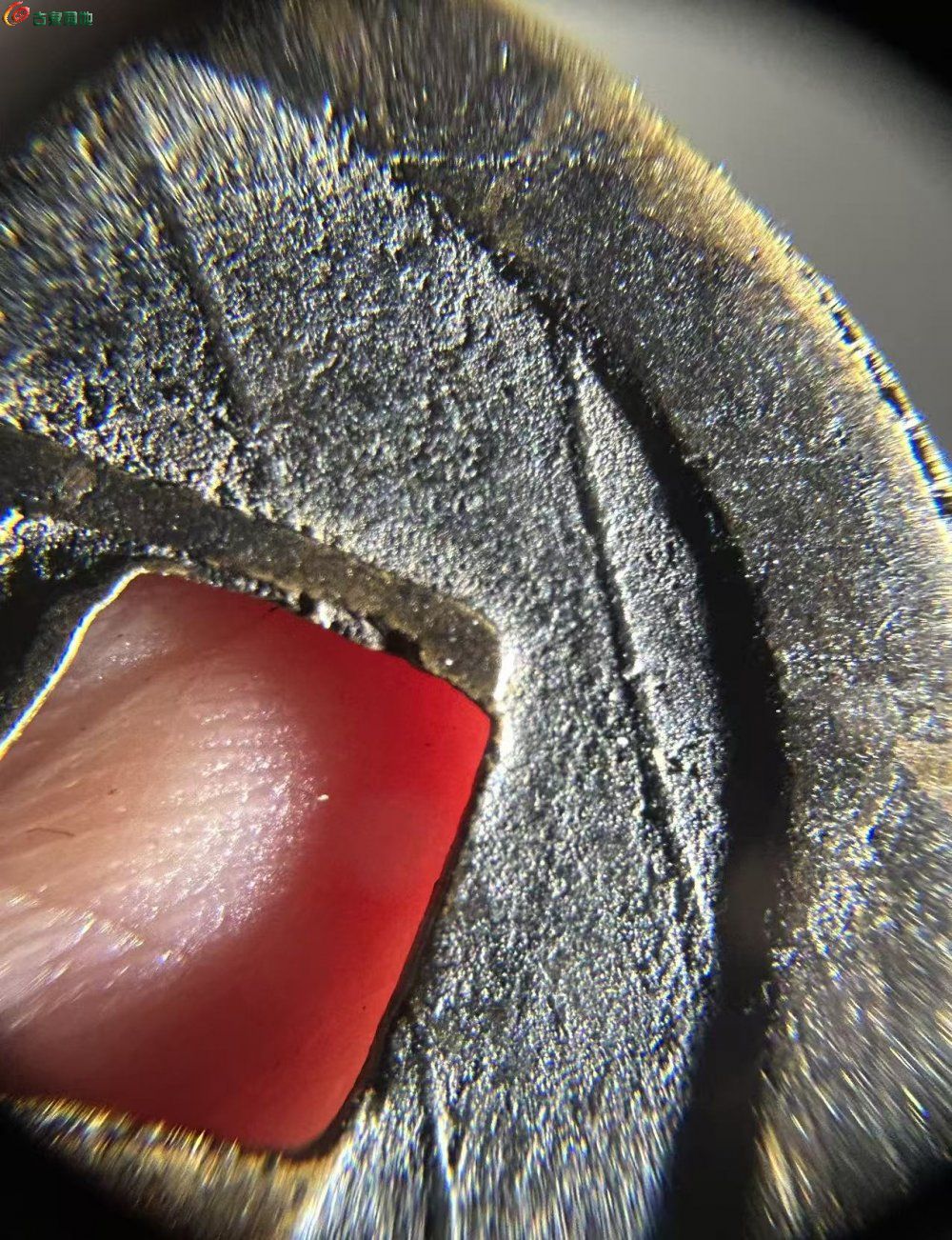 A2B86F88-4F3E-42F1-8FC4-12D615476A95.jpe