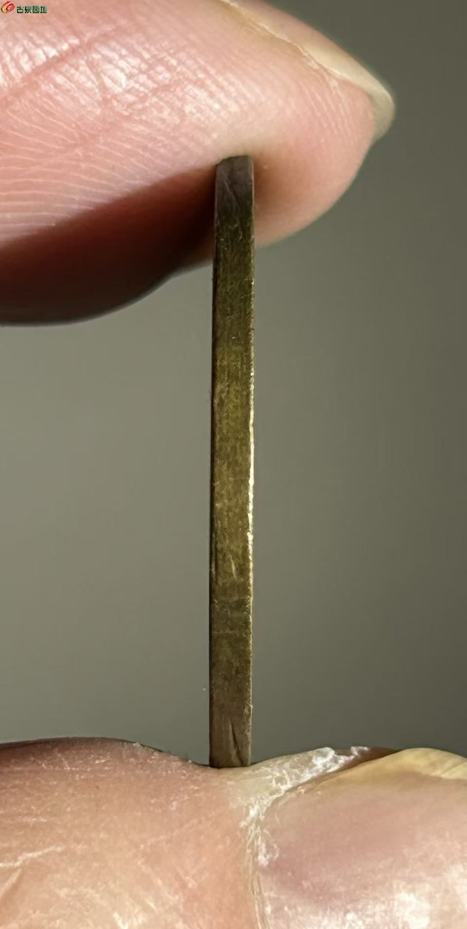 774A426D-490D-460E-8AE9-CCB18DB698BF.jpe