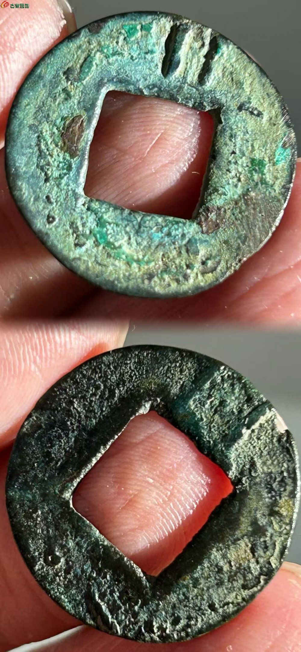 46D3AA62-2757-47C1-9858-5DAE98ABC9DD.jpe