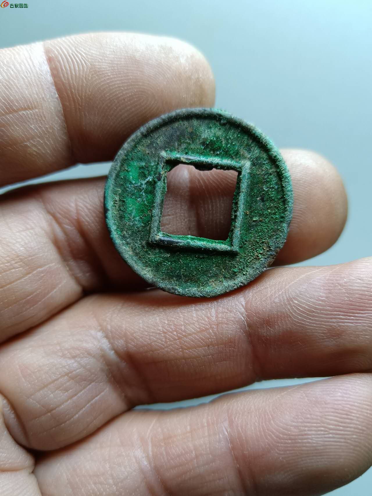 83745.jpg