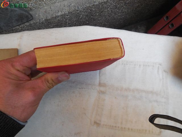 DSCN1248.JPG