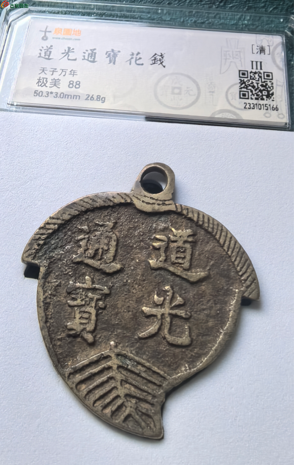 IMG_20260118_173734(1).png