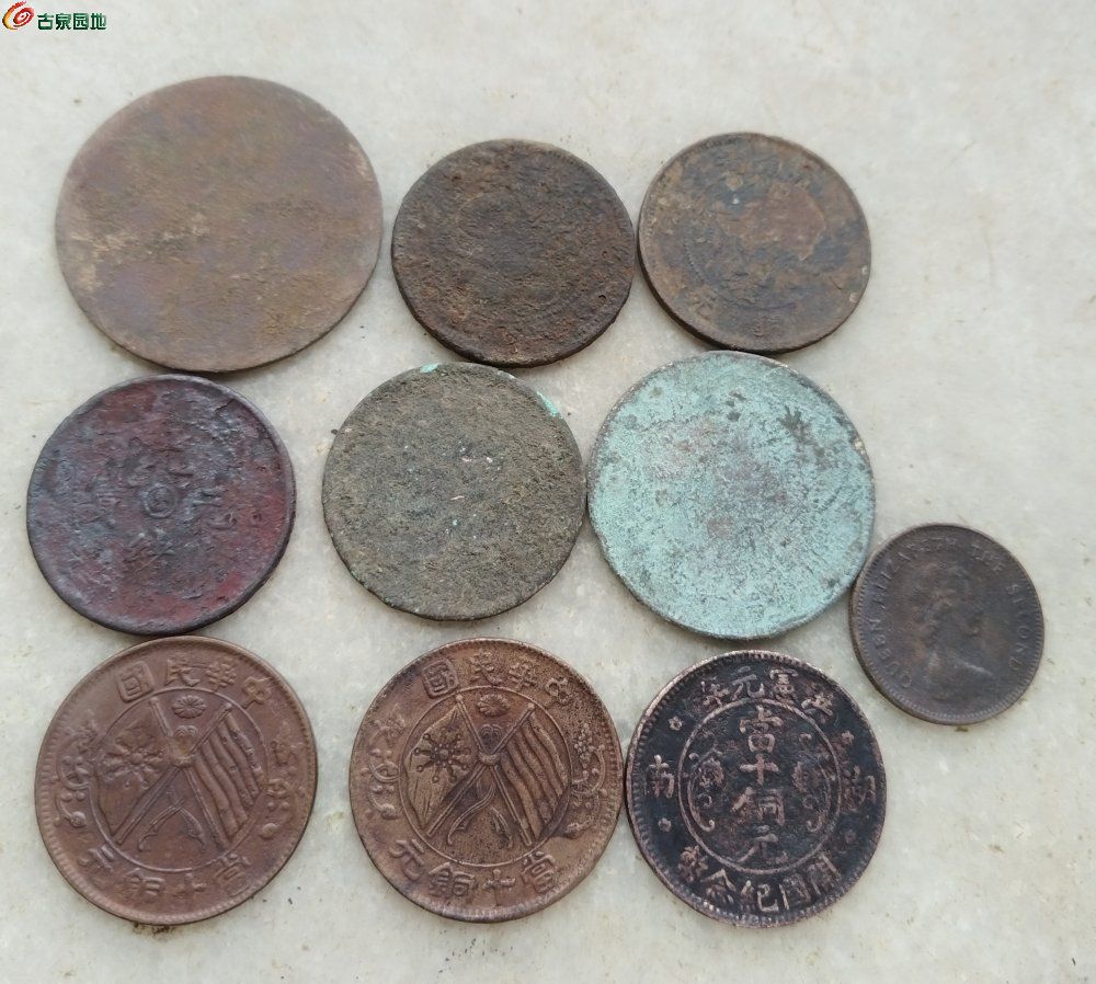 IMG_20260119_110622_edit_935562386766183