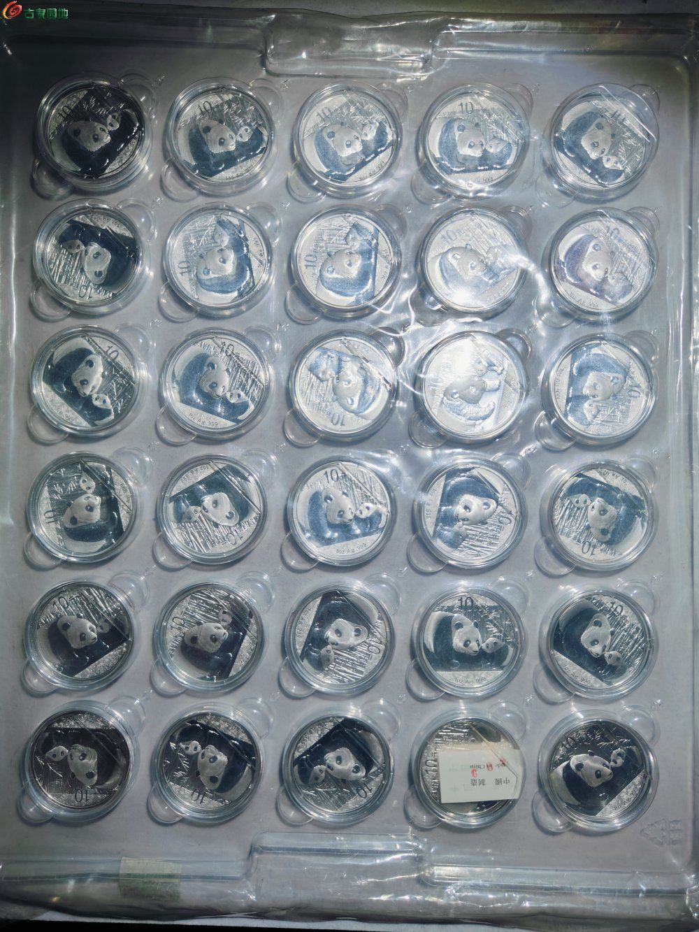 12810.jpg