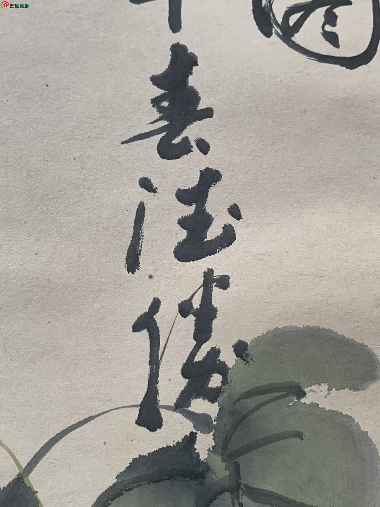 微信图片_20260120100556_102_40.jpg