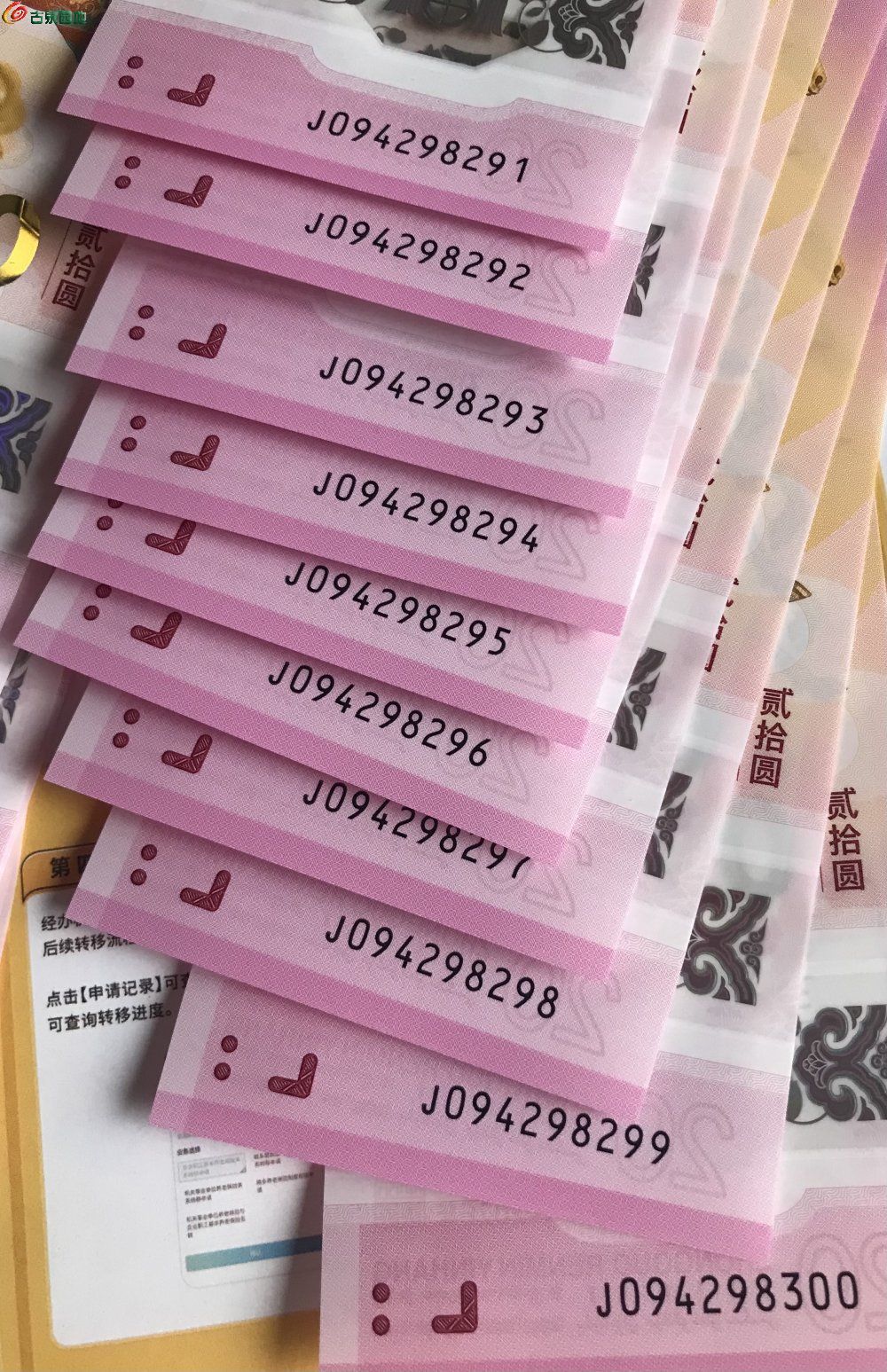 32F7DDC1-A829-49DA-B8E7-868DA6B03801.jpe