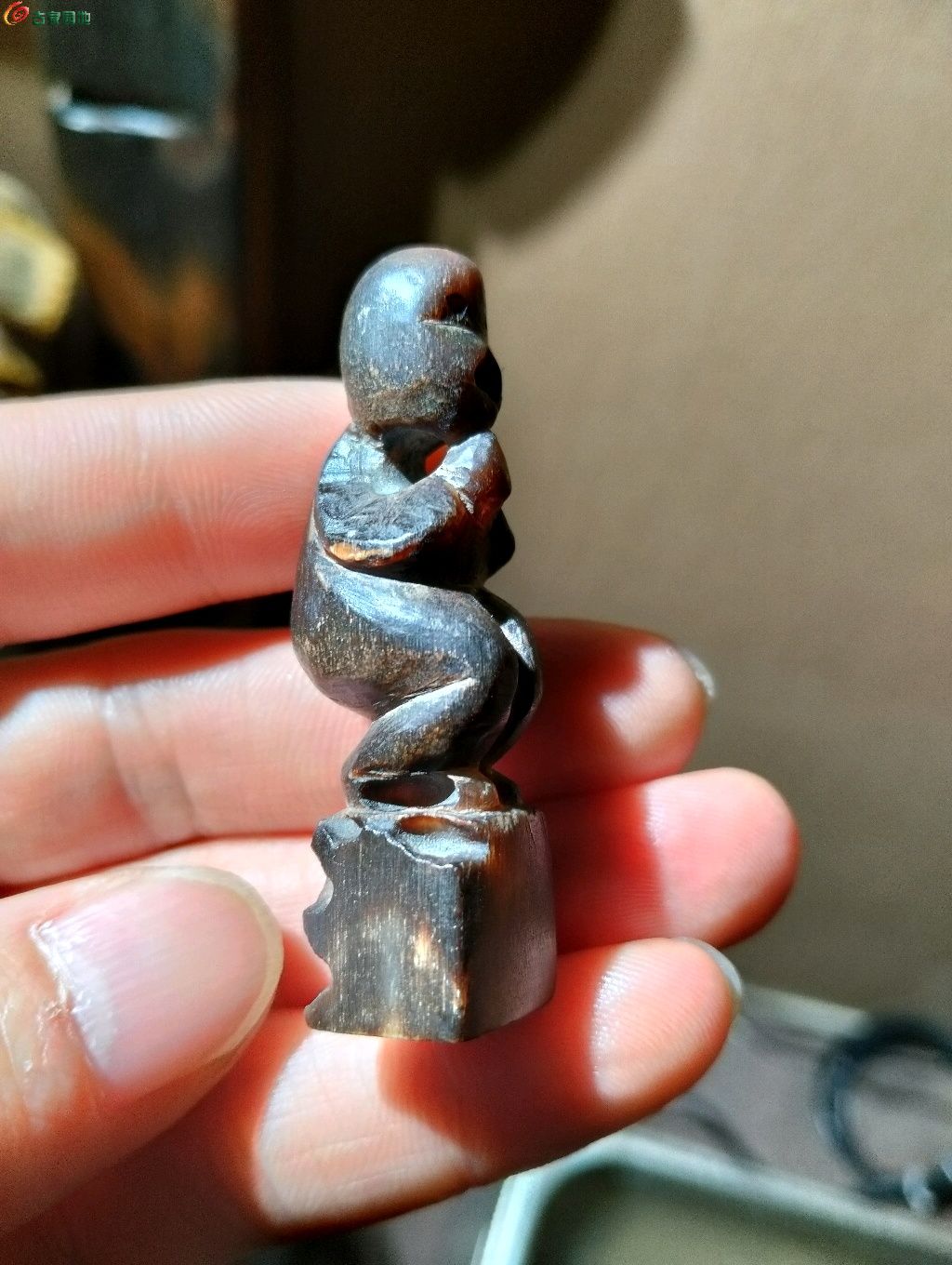 1769178255465.xfile.jpg