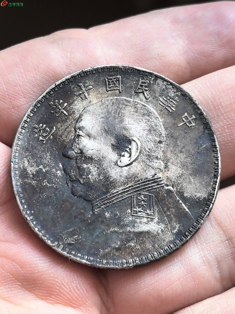 23721.jpg