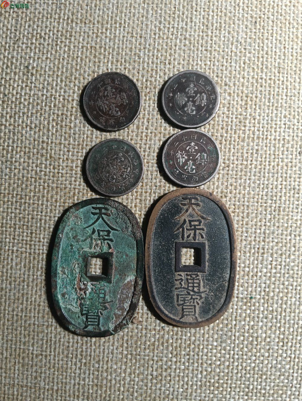IMG20260127204909.jpg