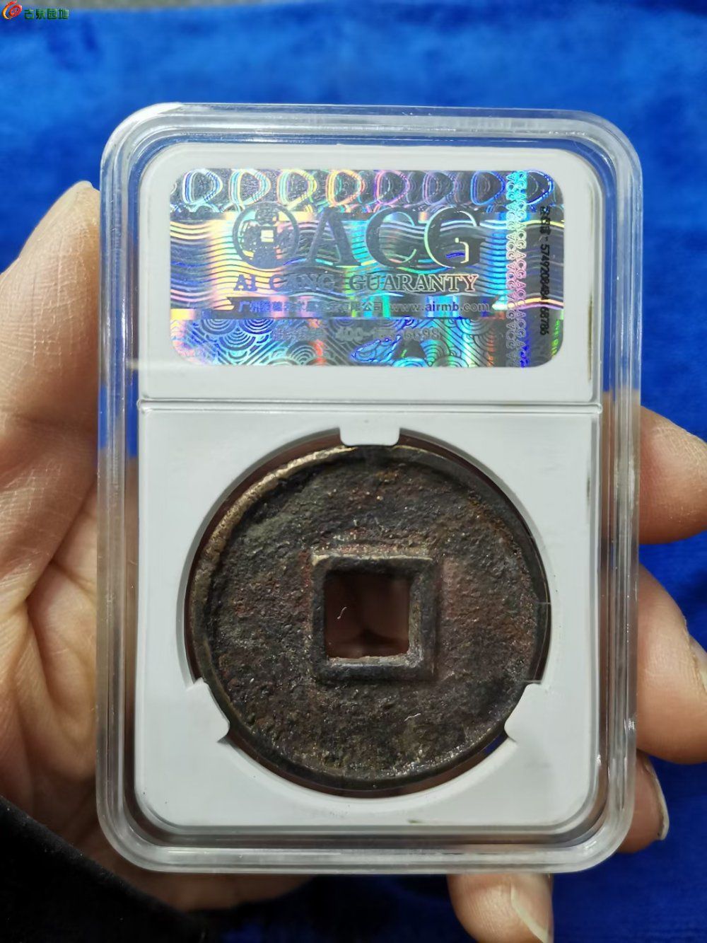 mmexport1692880645887.jpg