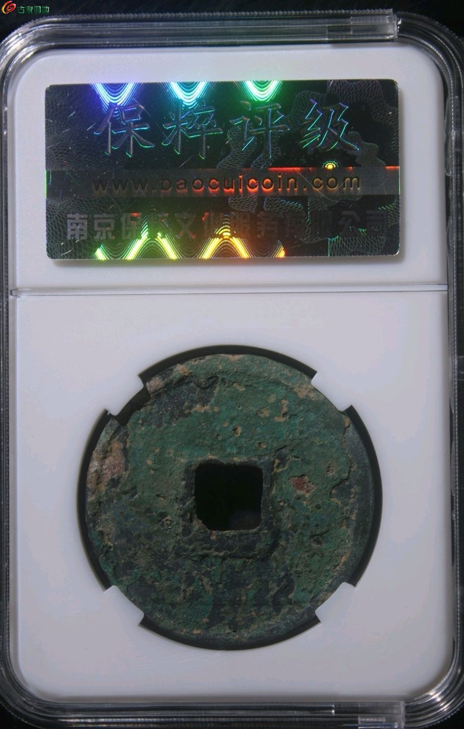 1770116352240.xfile.jpg