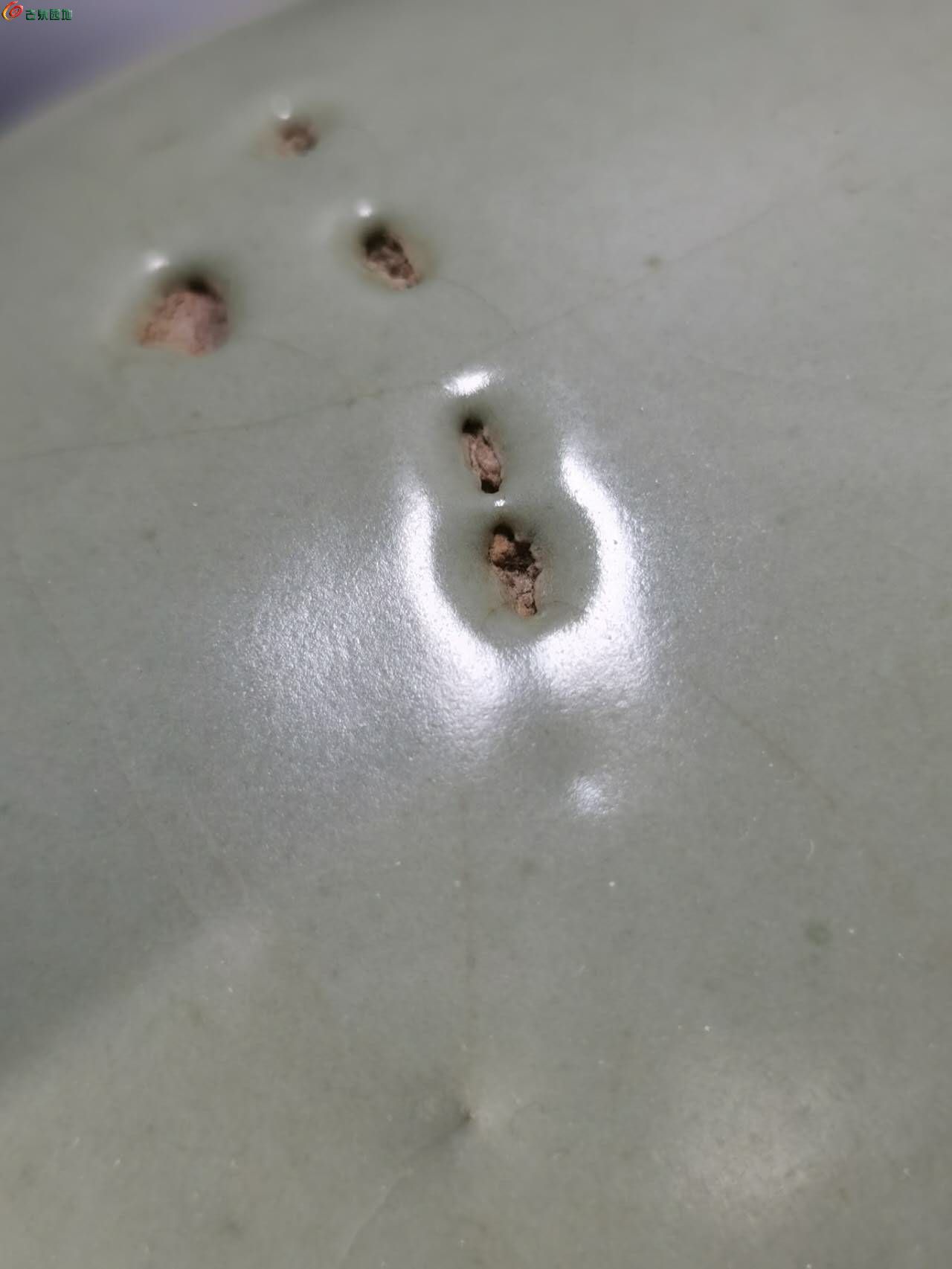 71018.jpg