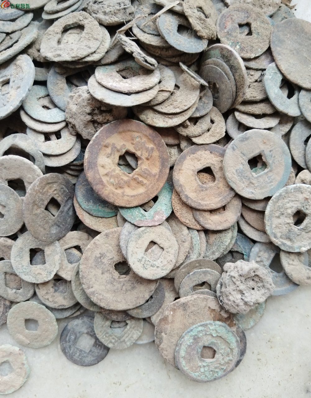 IMG_20260210_123458_edit_477331761322494