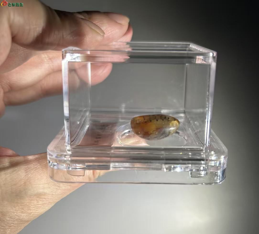 93A5F579-46A8-41DB-9C68-D14A01752DFE.jpe