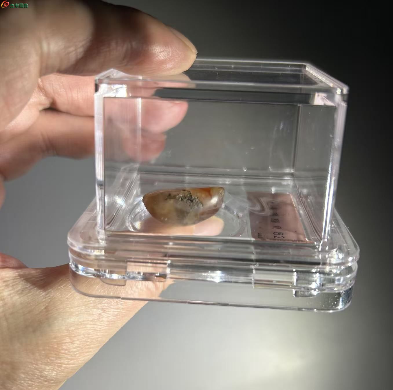 3C252628-6F2F-4899-B857-63E228411503.jpe