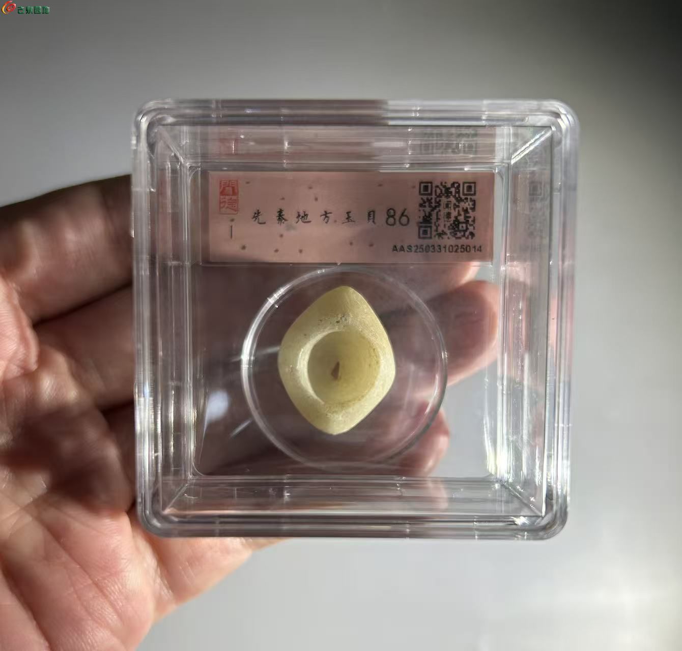 FFFFEAE8-00D2-43EC-ADAB-6185906E0B88.jpe