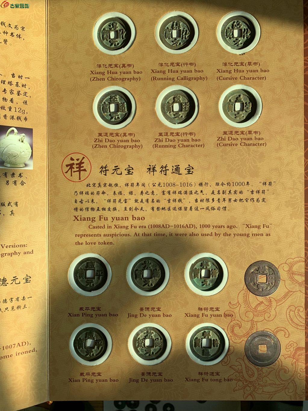 1770941039894.xfile.jpg