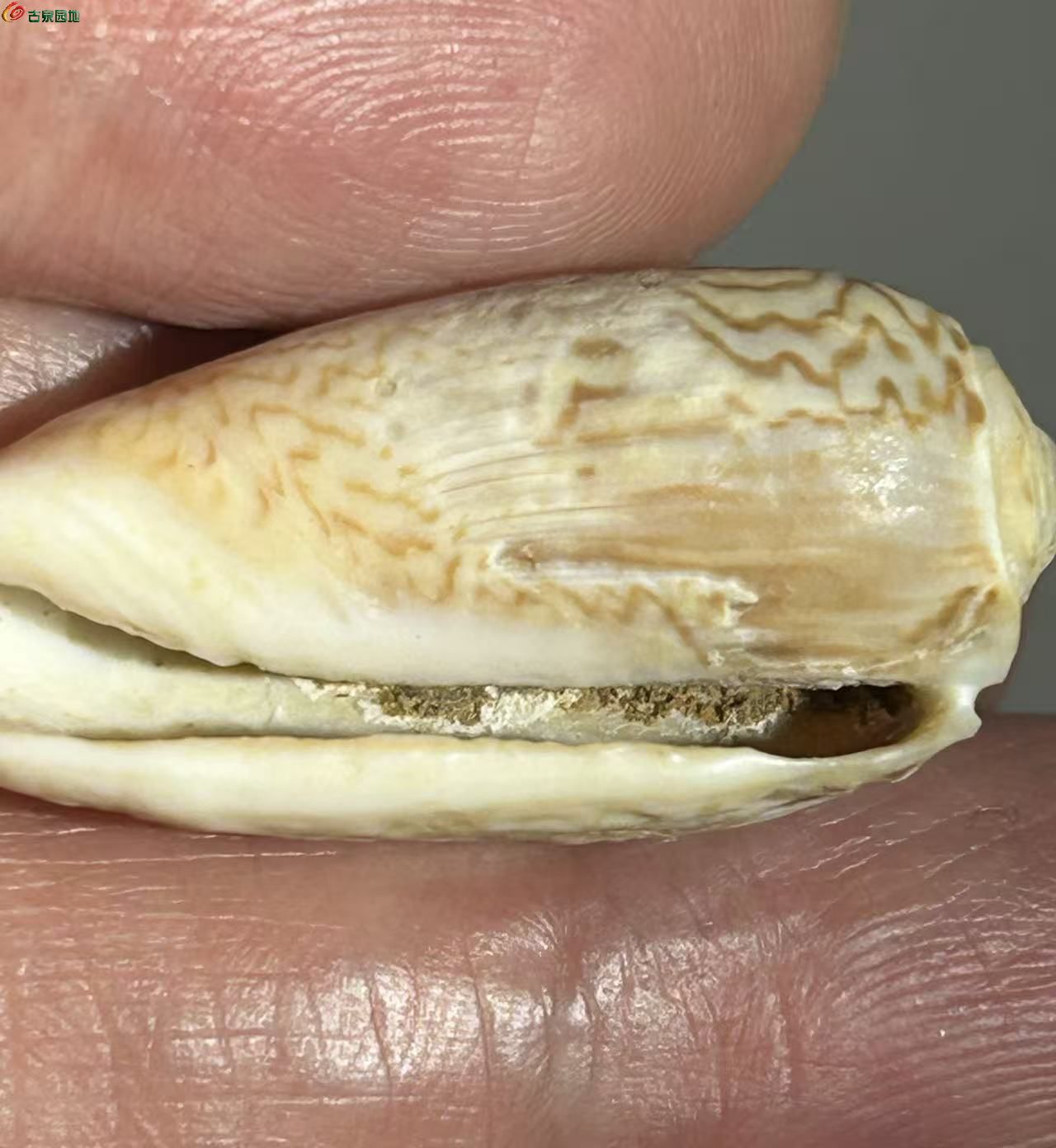 D45DCAEC-7E01-4185-9BA7-DE1E377B9FC6.jpe